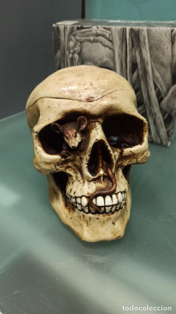 Coleccionismo: CALAVERA RESINA RAT&Oacute;N Y MOSCA - Foto 1