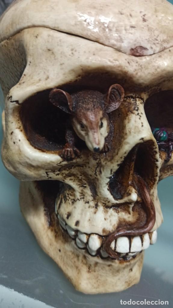 Coleccionismo: CALAVERA RESINA RAT&Oacute;N Y MOSCA - Foto 6