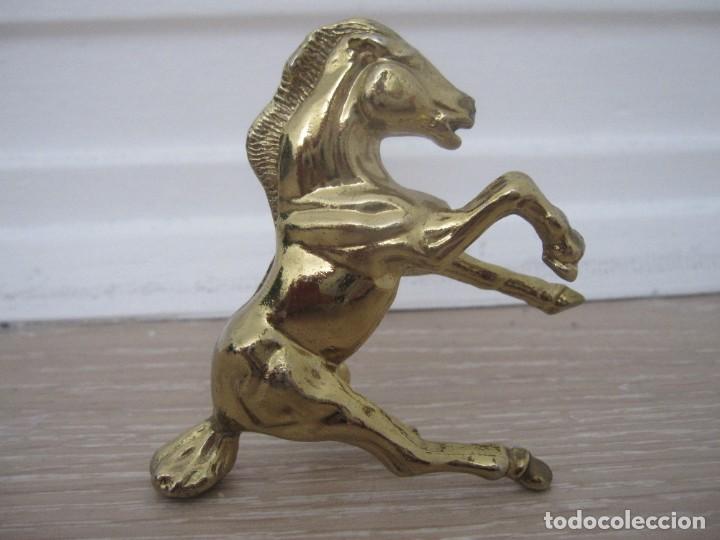 Sammeln: Caballo metal dorado