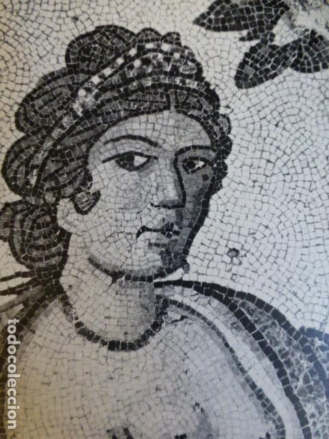 Coleccionismo: LEON ANTIGUA LAMINA HUECOGRABADO