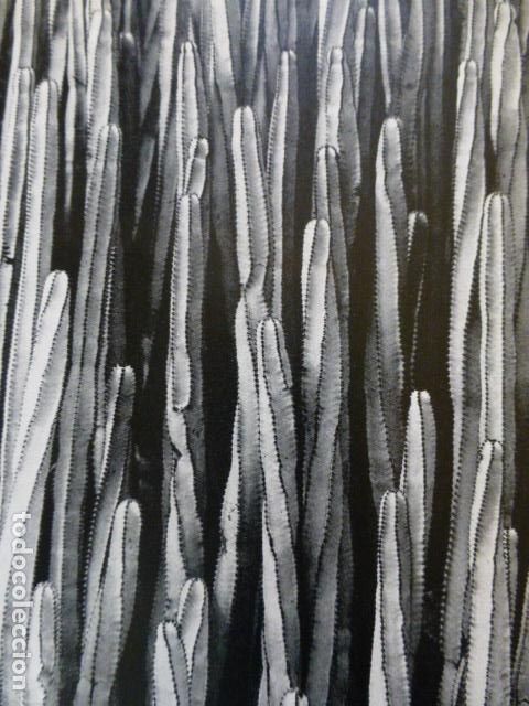 Coleccionismo: GRAN CANARIA ANTIGUA LAMINA HUECOGRABADO