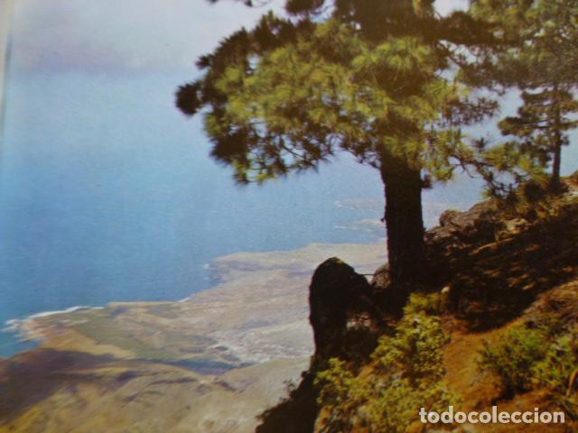 Coleccionismo: TAMADABA GRAN CANARIA ANTIGUA LAMINA HUECOGRABADO