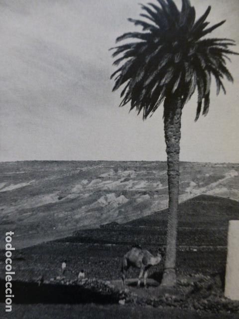 Collezionismo: LANZAROTE ANTIGUA LAMINA HUECOGRABADO