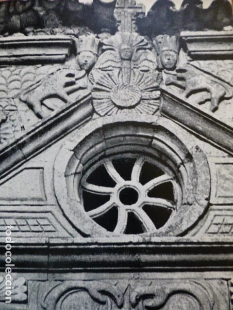 Coleccionismo: PAJARA FUERTEVENTURA ANTIGUA LAMINA HUECOGRABADO