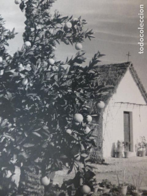 Coleccionismo: MURCIA LA HUERTA ANTIGUA LAMINA HUECOGRABADO