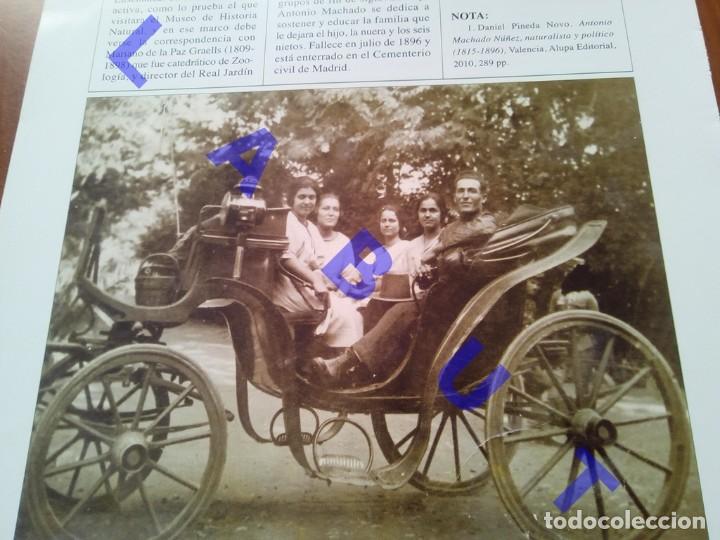 Coleccionismo: ANTONIO MACHADO NU&Ntilde;EZ EL ABUELO DE LOS MACHADO NATURALISTA CARMEN RUIZ BARRIONUEVO 2 HOJAS H46