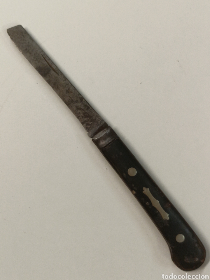 Coleccionismo: Antigua navaja asta - Foto 1