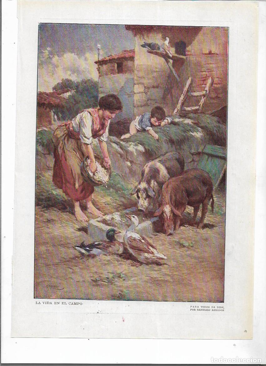 Sammelleidenschaft Papier: A&Ntilde;O 1915 RECORTE PRENSA DIBUJO LAMINA LA VIDA EN EL CAMPO POR REGIDOR PARA TODOS DA DIOS