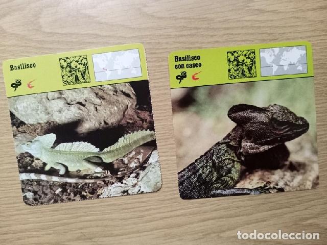 Coleccionismo: FICHAS ANIMALES -- BASILISCO - BASILISCO CON CASCO - Foto 1