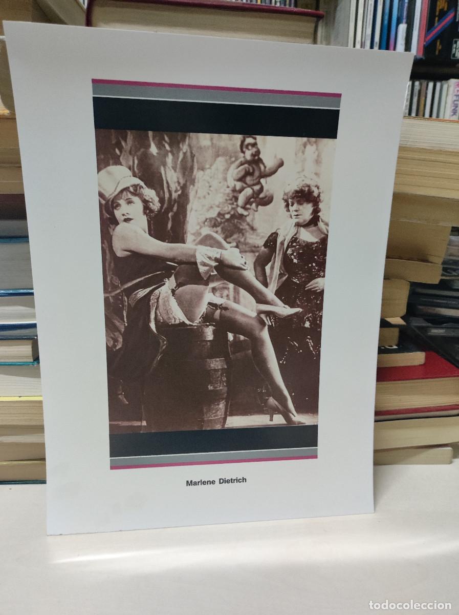 Coleccionismo: LAMINA MARLENE DIETRICH - Foto 1