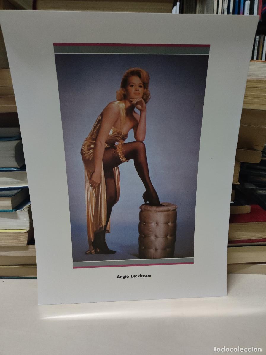 Coleccionismo: LAMINA ANGIE DICKINSON - Foto 1