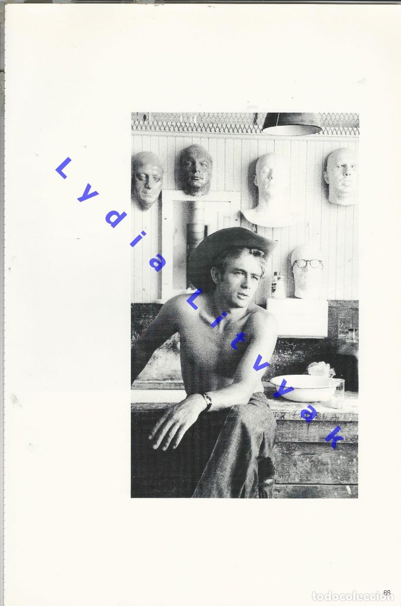 Coleccionismo: 40X27 JAMES DEAN LAMINA FOTOGRAFICA STANFORD Y BEULAH ROTH FAM8