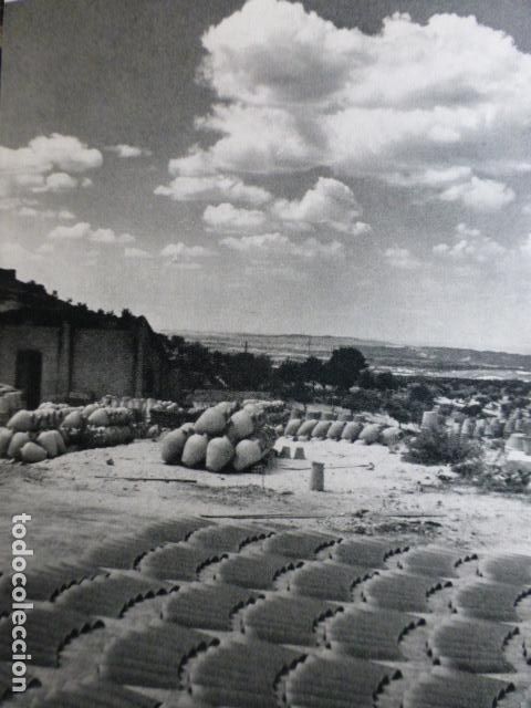 Sammelleidenschaft Papier: CAMPO REAL MADRID ANTIGUO HUECOGRABADO A&Ntilde;OS 50