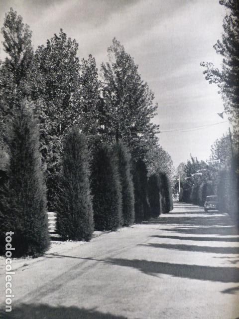Sammelleidenschaft Papier: EL PLANTIO MADRID ANTIGUO HUECOGRABADO A&Ntilde;OS 50