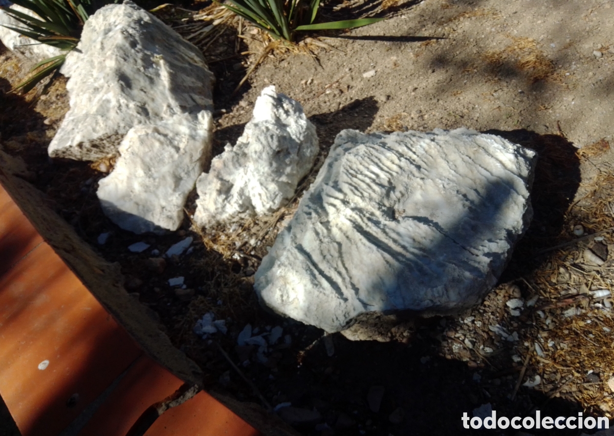 Coleccionismo: PIEDRAS BLANCAS JARD&Iacute;N - Foto 3