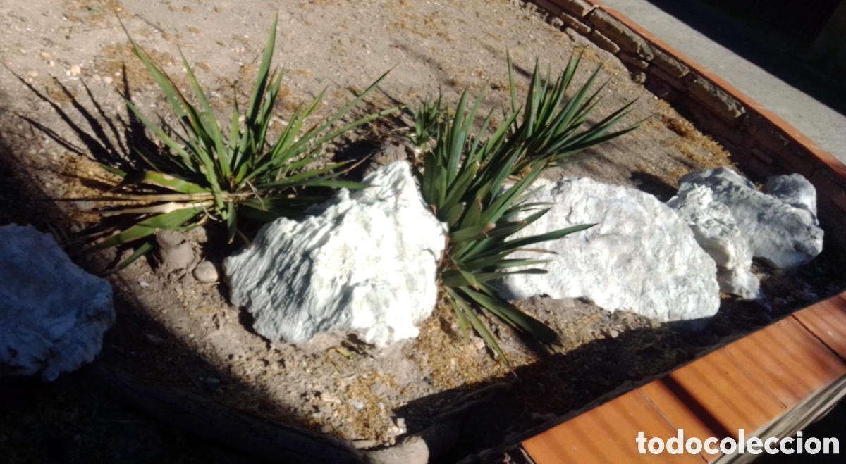 Coleccionismo: PIEDRAS BLANCAS JARD&Iacute;N - Foto 4