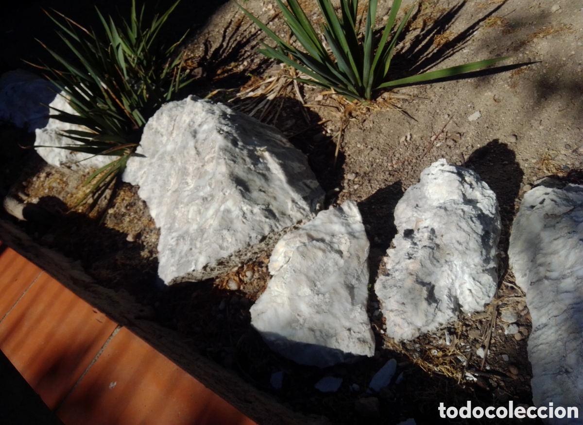 Coleccionismo: PIEDRAS BLANCAS JARD&Iacute;N - Foto 2