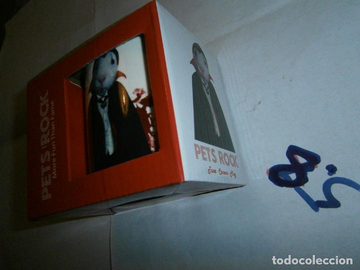 Collectionnisme: TAZA PETS ROCK EN CAJA