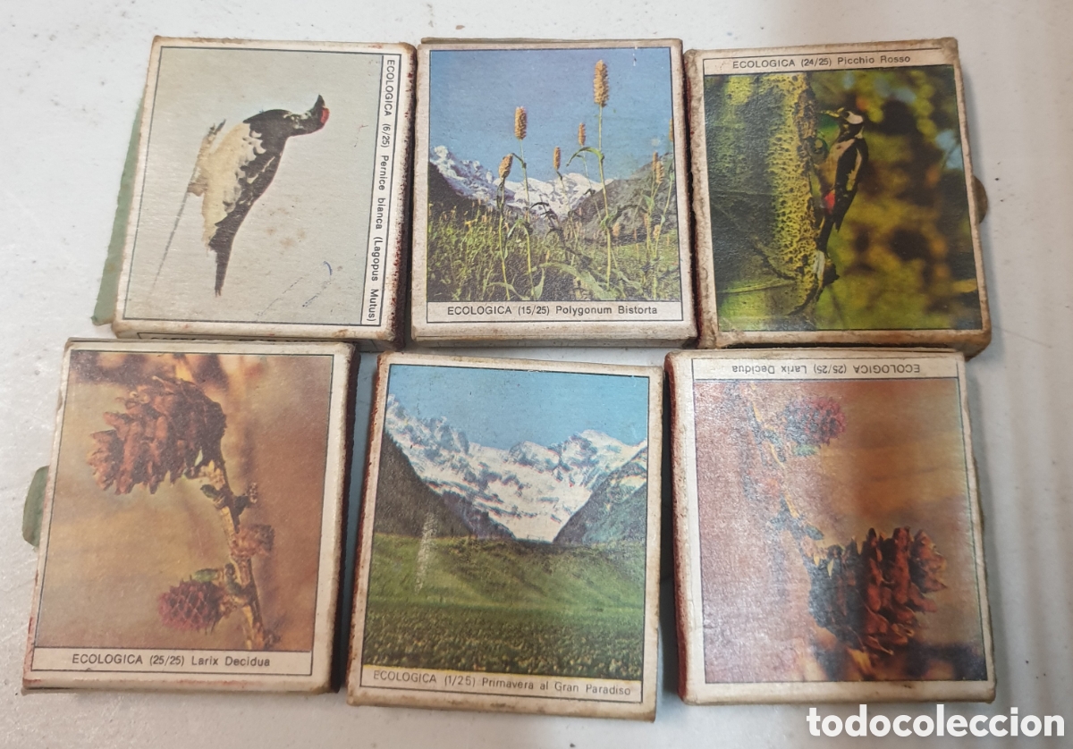 Coleccionismo: Cajas cerillas serie ecologica
