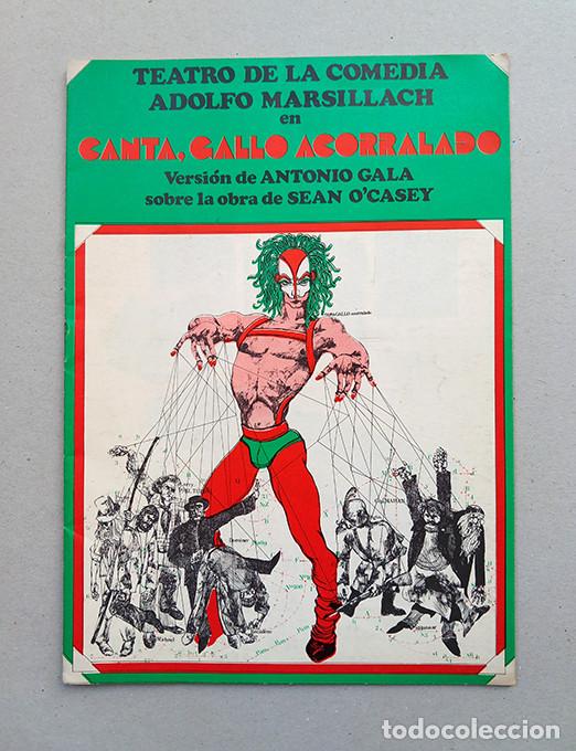 Coleccionismo: Canta, gallo acorralado. Adolfo Marsillach, Jos&eacute; Viv&oacute;, Victoria Vera, Jos&eacute; M. Pou&hellip; 1973