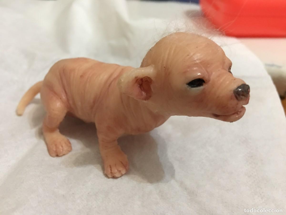 Coleccionismo: CACHORRO MICRO CHIHUAHUA EN SILICONA - Foto 1