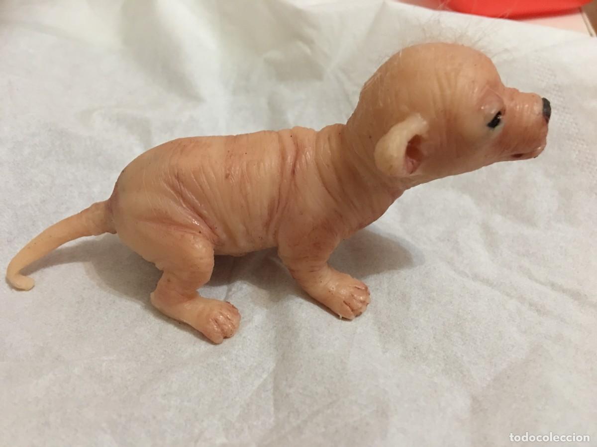 Coleccionismo: CACHORRO MICRO CHIHUAHUA EN SILICONA - Foto 2