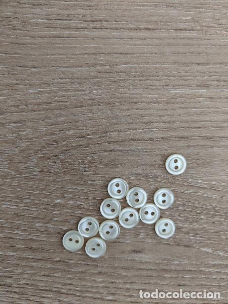 Sammeln: 12 BOTONES CAMISA