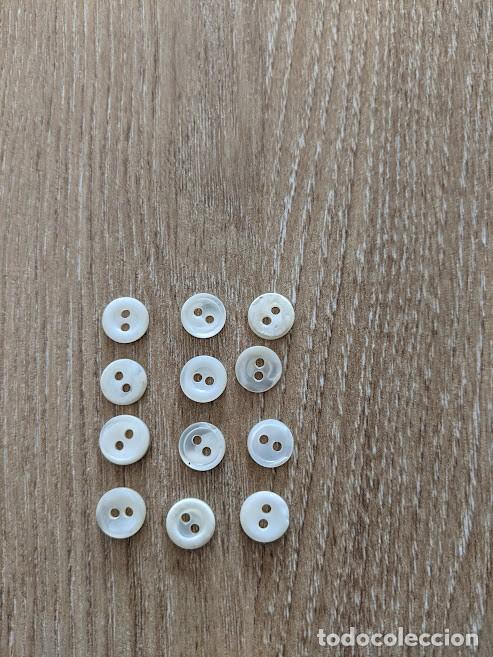 Colecionismo: 12 BOTONES CAMISA PEQUE&Ntilde;ITOS