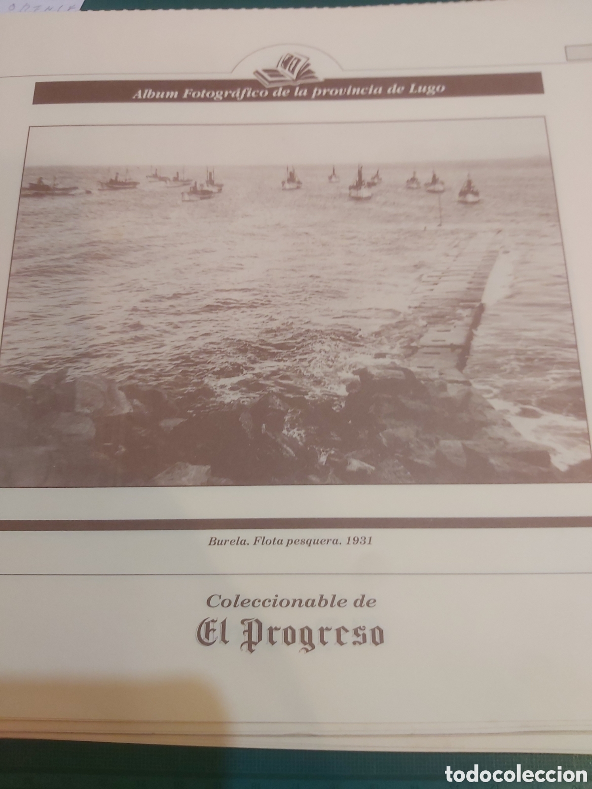 Collezionismo: 1831 Burela Lugo flora pesquera l&aacute;mina