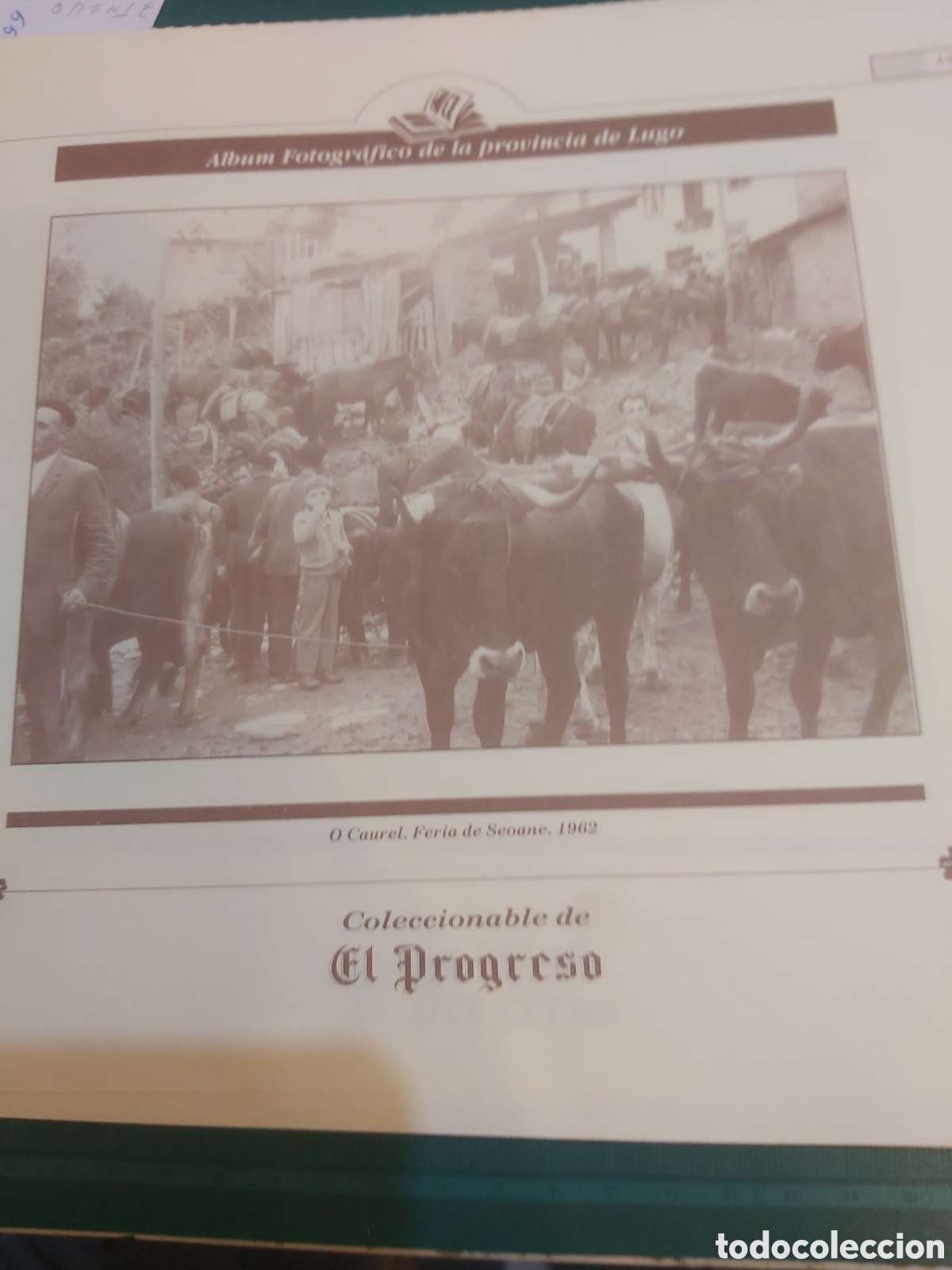 Sammelleidenschaft Papier: O caurel feria de seoane 1962 ganado l&aacute;mina