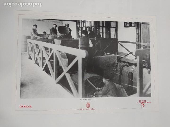 Collectionnisme: L&Aacute;MINA. BODEGAS LA RIOJA ALTA. REPRODUCCI&Oacute;N FOTOGR&Aacute;FICA. LA RIOJA. HARO. TDKR5