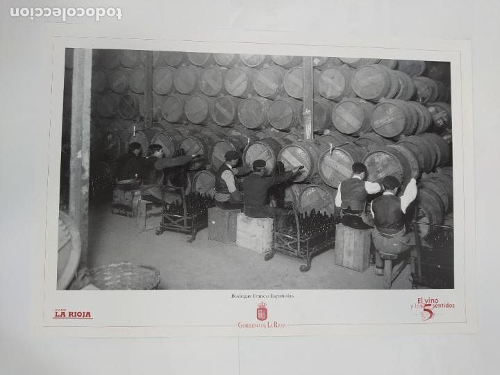 Collectionnisme: L&Aacute;MINA. BODEGAS FRANCO ESPA&Ntilde;OLAS. REPRODUCCI&Oacute;N FOTOGR&Aacute;FICA. LA RIOJA. LOGRO&Ntilde;O. TDKR5