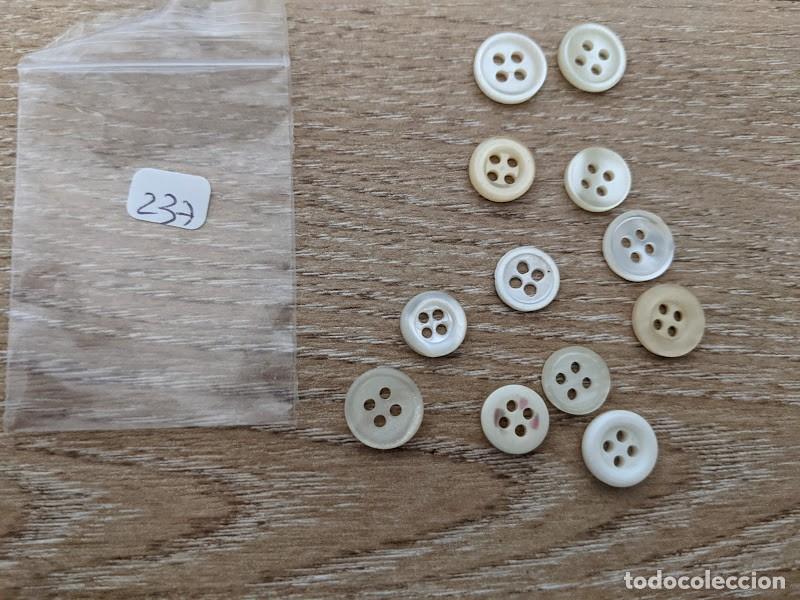 Collecting: 12 BOTONES