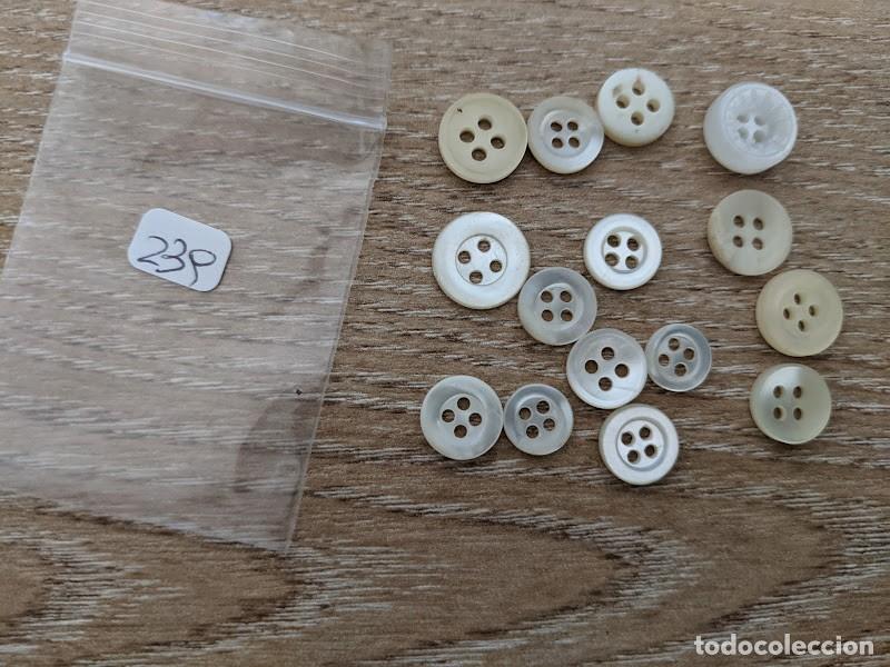 Collecting: 12 BOTONES