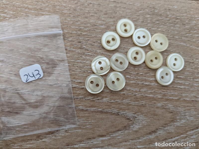 Collecting: 12 BOTONES