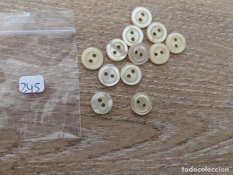 Collecting: 12 BOTONES