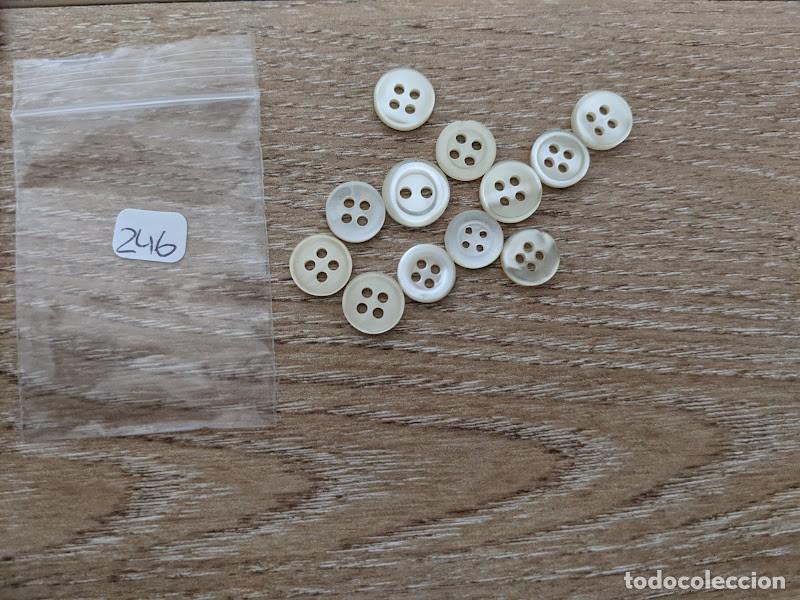 Colecionismo: 12 BOTONES