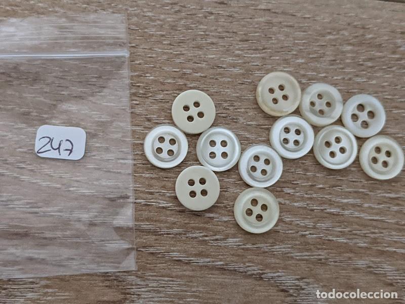 Collectionnisme: 12 BOTONES