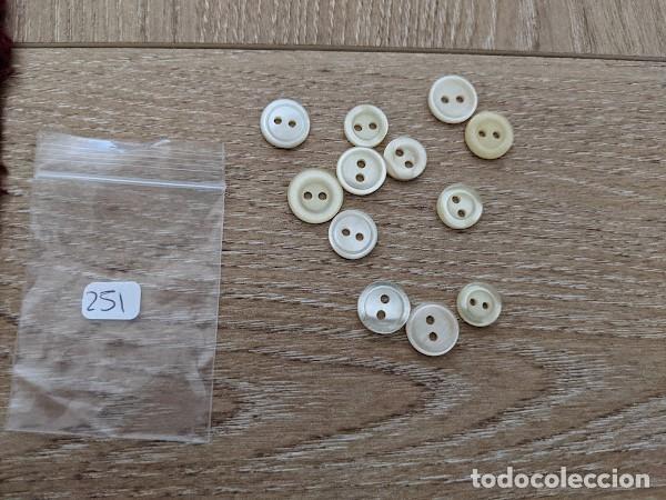 Collecting: 12 BOTONES