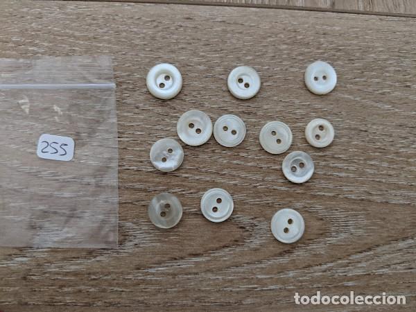 Collecting: 12 BOTONES