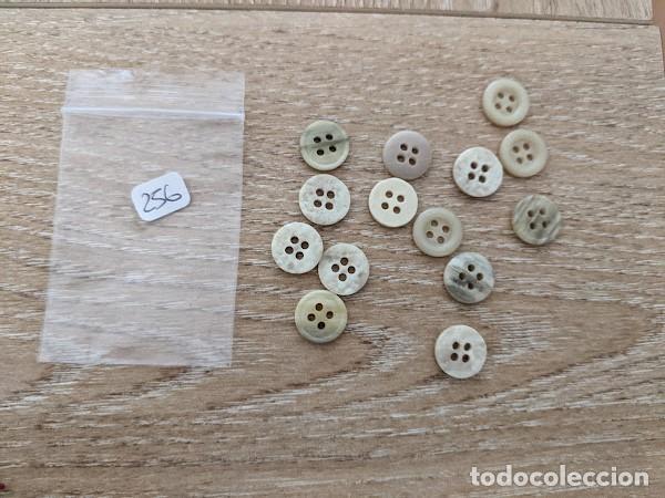 Sammeln: 14 BOTONES