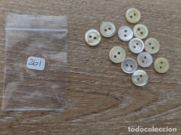 Collecting: 12 BOTONES