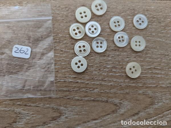 Sammeln: 12 BOTONES