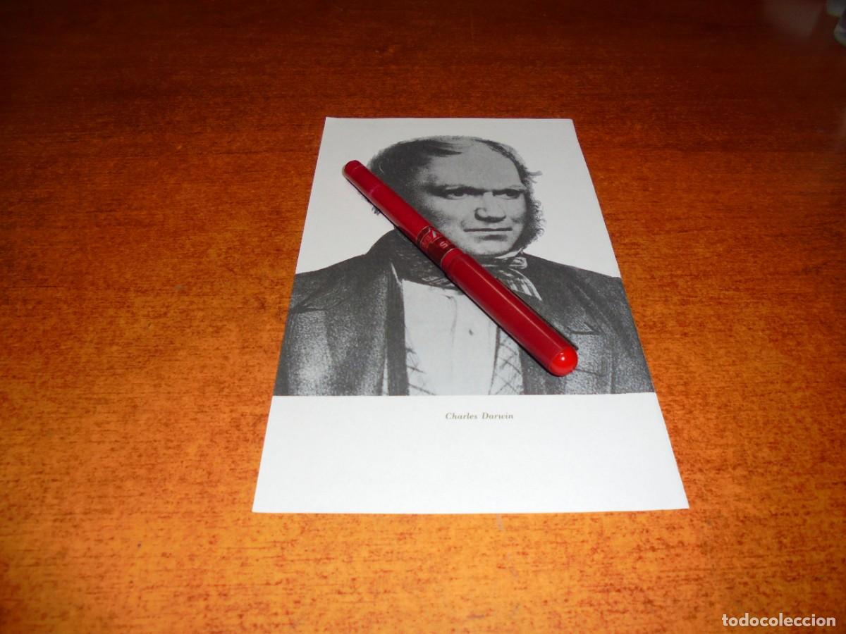 Coleccionismo: L&Aacute;MINA DE LIBRO: CHARLES DARWIN - Foto 1