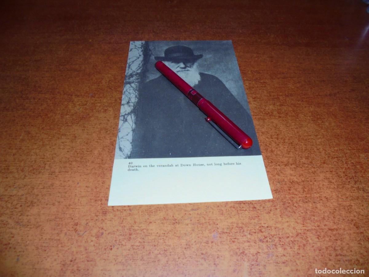 Coleccionismo: L&Aacute;MINA DE LIBRO: CHARLES DARWIN - Foto 1