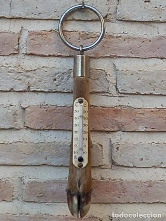 Coleccionismo: TERMOMETRO DE PARED COLOCADO SOBRE PATA DE VENADO. - Foto 2
