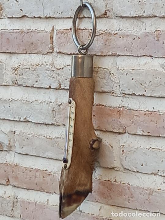 Coleccionismo: TERMOMETRO DE PARED COLOCADO SOBRE PATA DE VENADO. - Foto 3