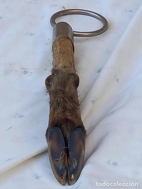 Coleccionismo: TERMOMETRO DE PARED COLOCADO SOBRE PATA DE VENADO. - Foto 6