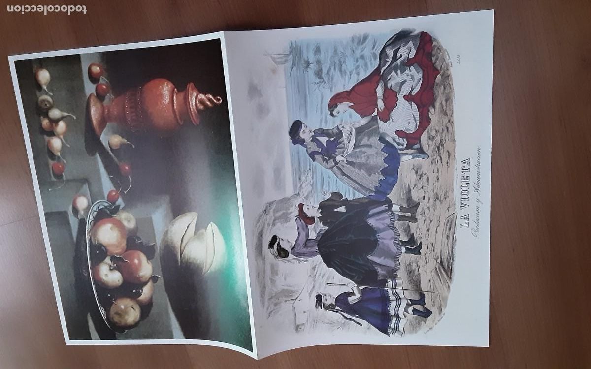 Coleccionismo: L&aacute;minas enmarcables, Revista Casa y Jard&iacute;n. La Violeta, Anais L'Eudouze y Bodeg&oacute;n A.Ponce
