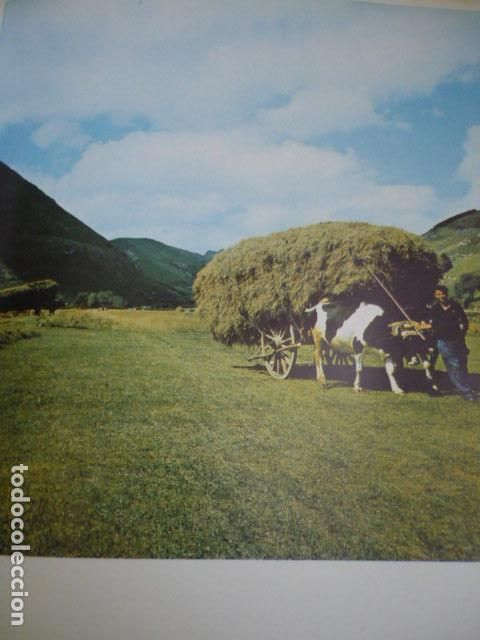 Coleccionismo: CORAO ASTURIAS ANTIGUA LAMINA A&Ntilde;OS 50